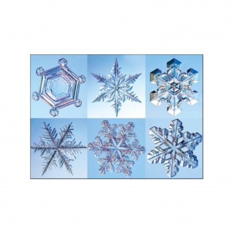 Cosmodiversité et biodiversité