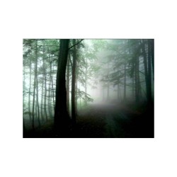 Il n’y a pas de mystère, seulement de l’inconnu