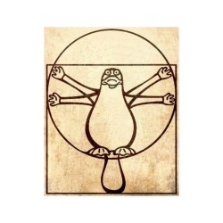 L’illusion du principe anthropique