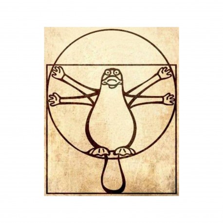 L’illusion du principe anthropique