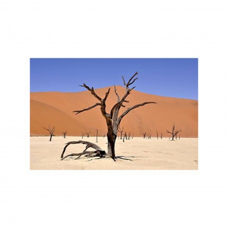 L’INHUMANITÉ DU MONDE