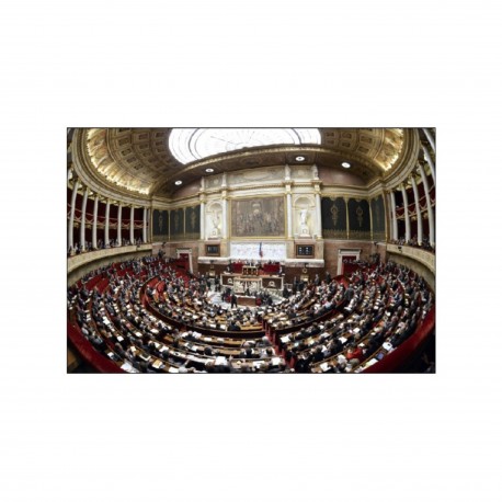 Démocratie et formalisme institutionnel