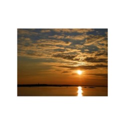 Droits humains et euthanasie