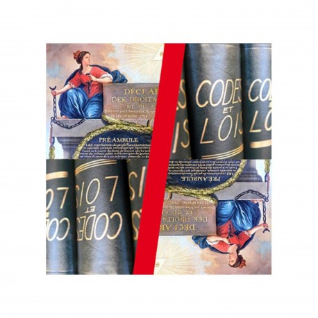 Les droits humains sont-ils solubles dans la justice ?