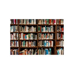 Penser / Classer - vaine tentative pour comprendre le Monde ?