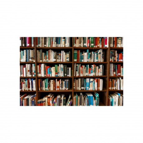 Penser / Classer - vaine tentative pour comprendre le Monde ?