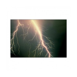 La nécessité de la raison