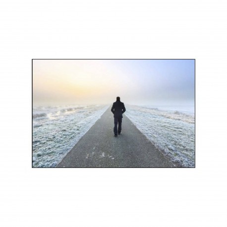 Homo sapiens, le dernier Homo