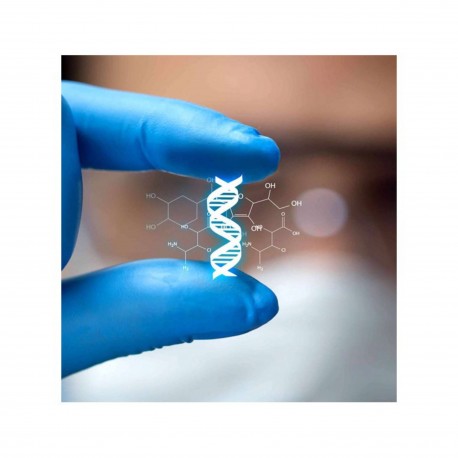 L'information génétique : une information particulière ?