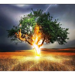 L’origine de la religion