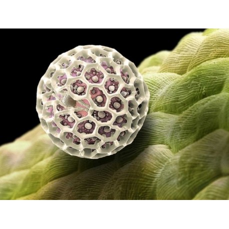 Ordre et chaos dans le cosmos