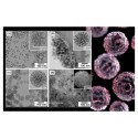 Quoi des nanoparticules