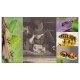 La planète des insectes