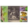 La planète des insectes