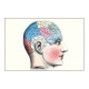 Les pseudo-sciences