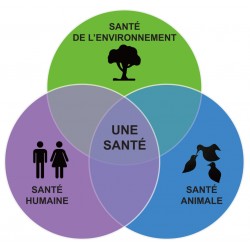 Agriculture, environnement et alimentation : la santé comme dénominateur commun