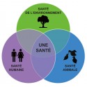 Agriculture, environnement et alimentation : la santé comme dénominateur commun