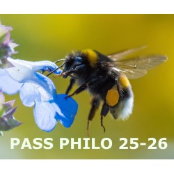 PASS PHILO 2025-2026