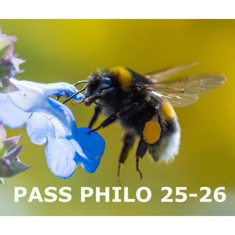PASS PHILO 2025-2026