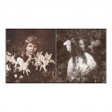 L’affaire des fées de cottingley