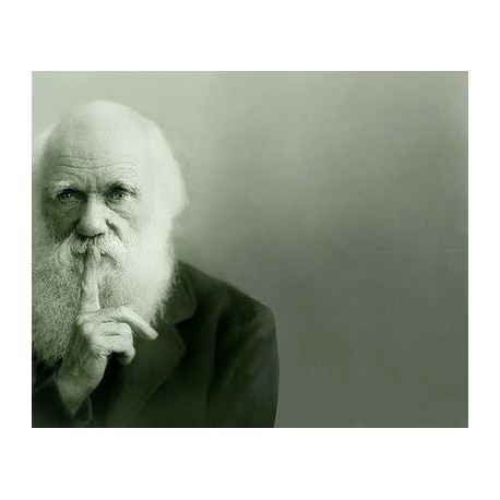 Darwin et les sociétés humaines
