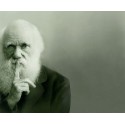Darwin et les sociétés humaines