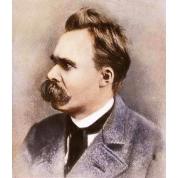 Nietzsche : Le crépuscule de Nietzsche