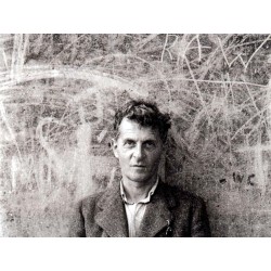 Wittgenstein : Wittgenstein entre Vienne et Cambridge, ou l’art du contrepoint