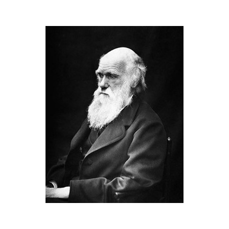 Bergson : Bergson et Darwin