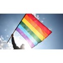 Homophobies