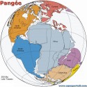 Continents et tectonique des plaques