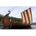 Vikings et peuples scandinaves