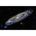 Cosmos